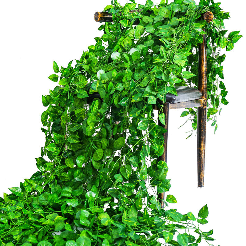 A Simulation Green Plant Vine Ivy Ivy Strip Outdoor Dill Leaf Vine Green Leaf Plant Interior Decoration Vine