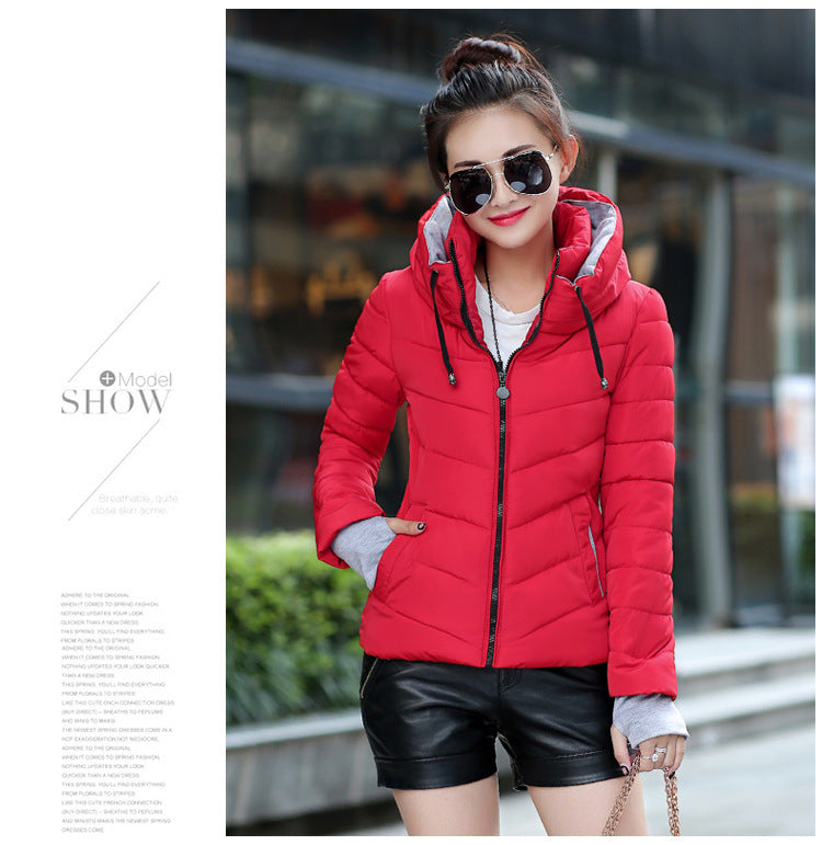 A Winter Warm Jacket