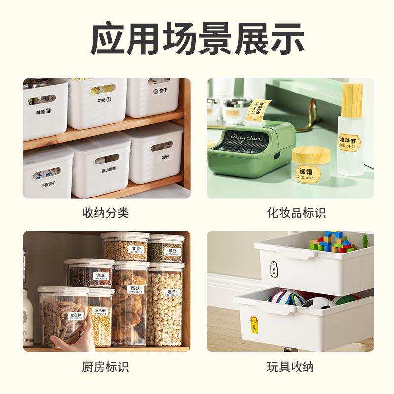 P Label Printer B21