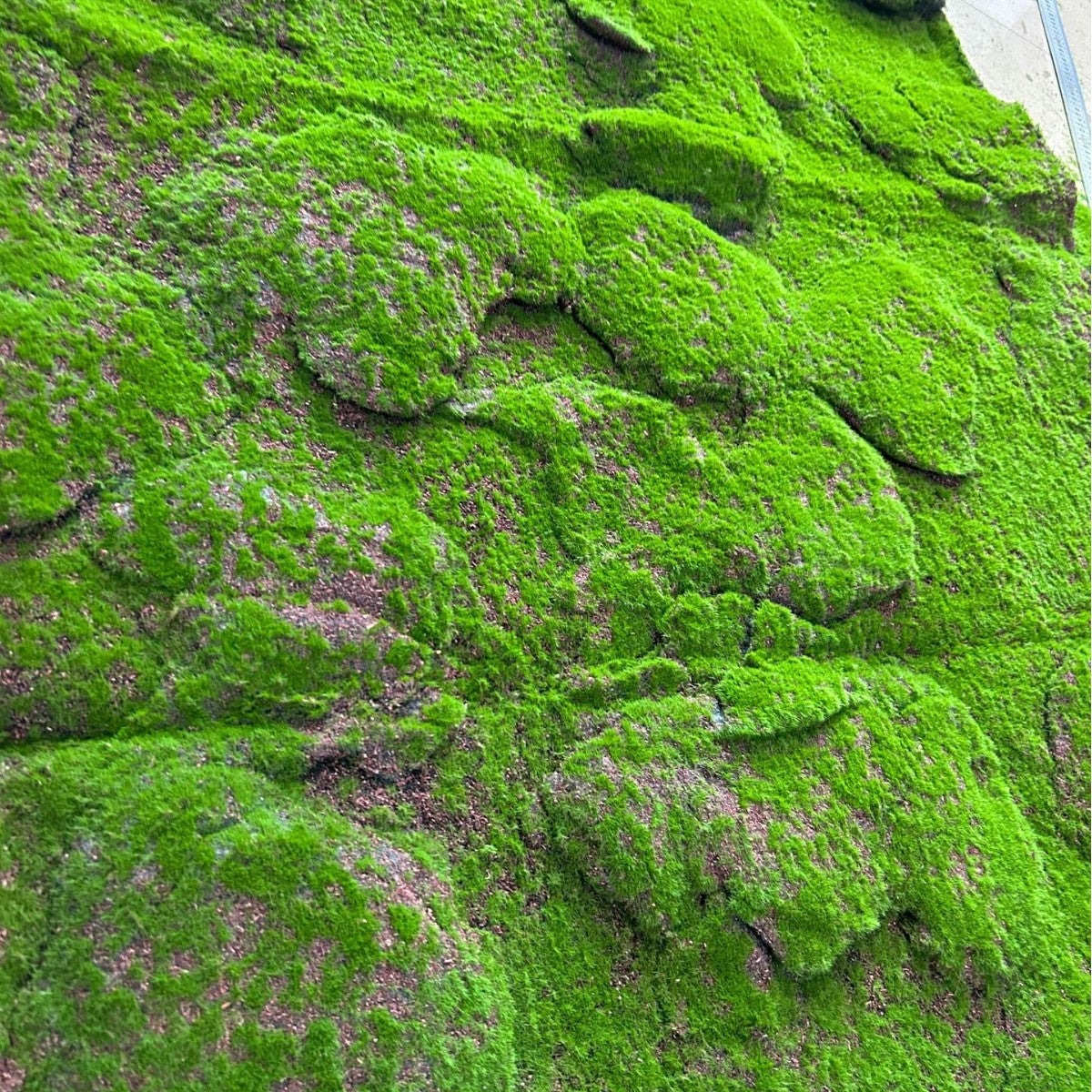 A Plant wall simulation moss green false moss moss micro landscape bonsai landscaping decorative material lawn turf