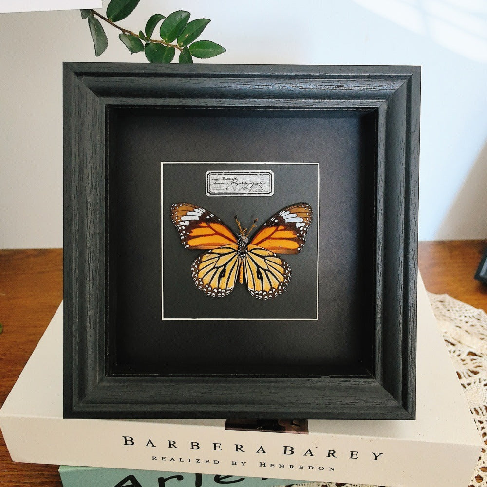A Hollow three-dimensional glass photo frame, black high-end butterfly specimen frame, square large-size picture frame, wall-mounted display frame