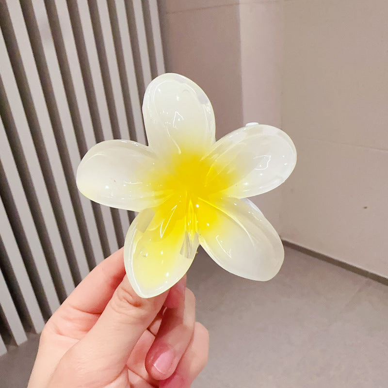 A egg flower hairpin gradual change Bauhinia back head grab clip temperament shark clip