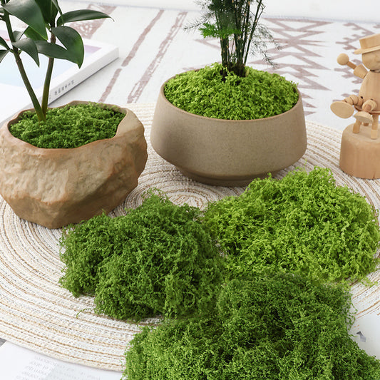 A simulated moss turf bionic artificial fake moss micro-landscape arrangement ornament lawn bonsai potted plant pavement landscaping