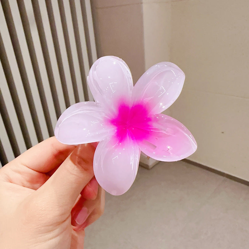 A egg flower hairpin gradual change Bauhinia back head grab clip temperament shark clip