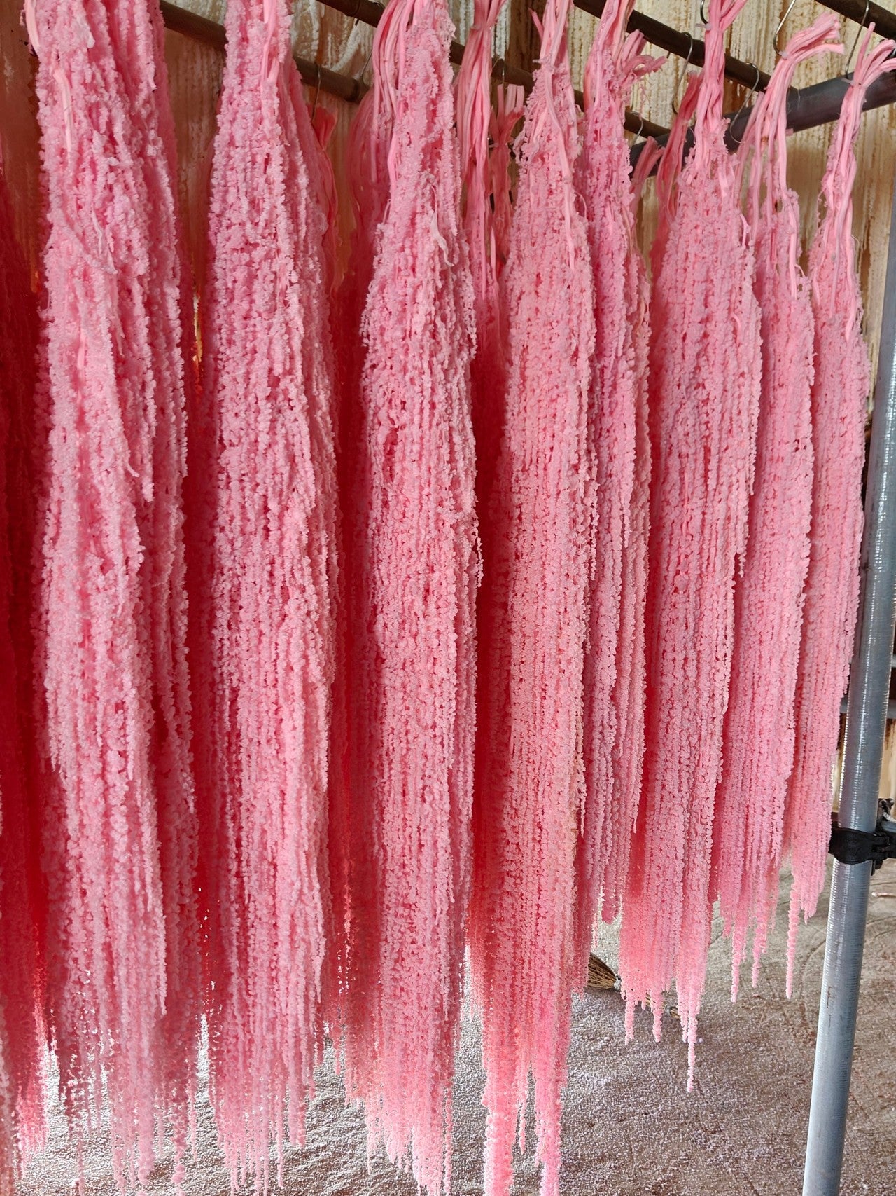 A dried flower eternal flower hanging rice