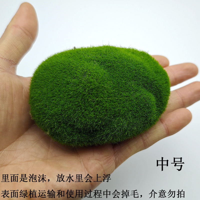 A plant stone model