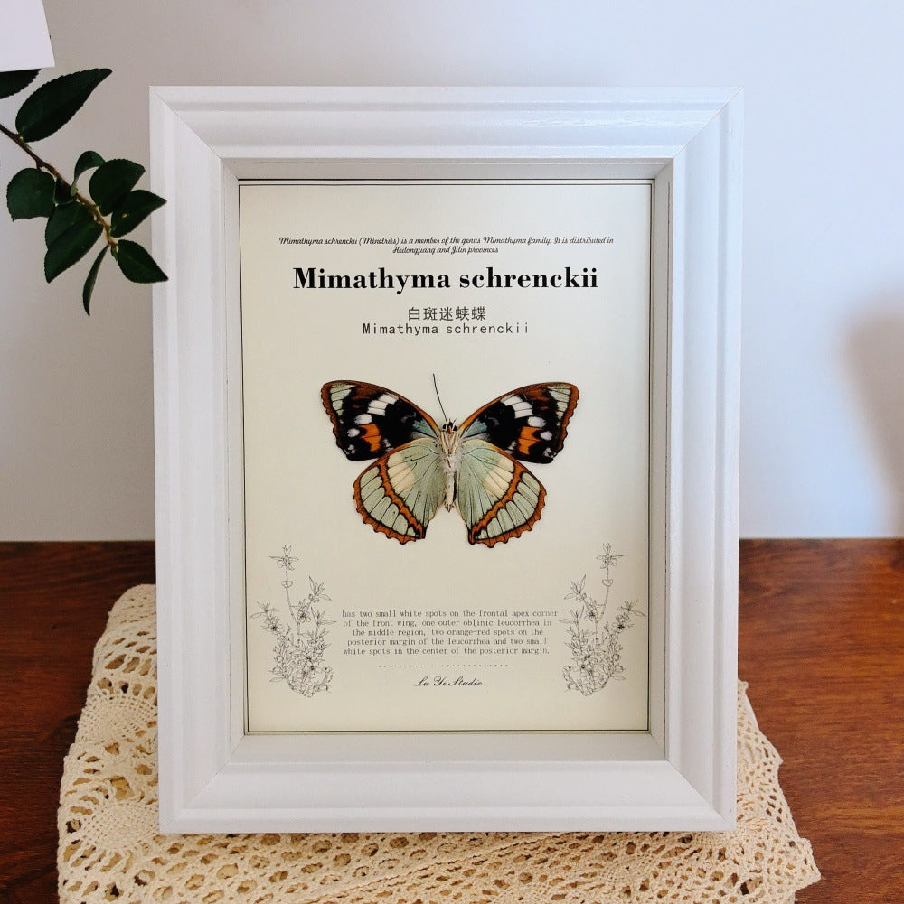 A Hollow three-dimensional glass photo frame, black high-end butterfly specimen frame, square large-size picture frame, wall-mounted display frame