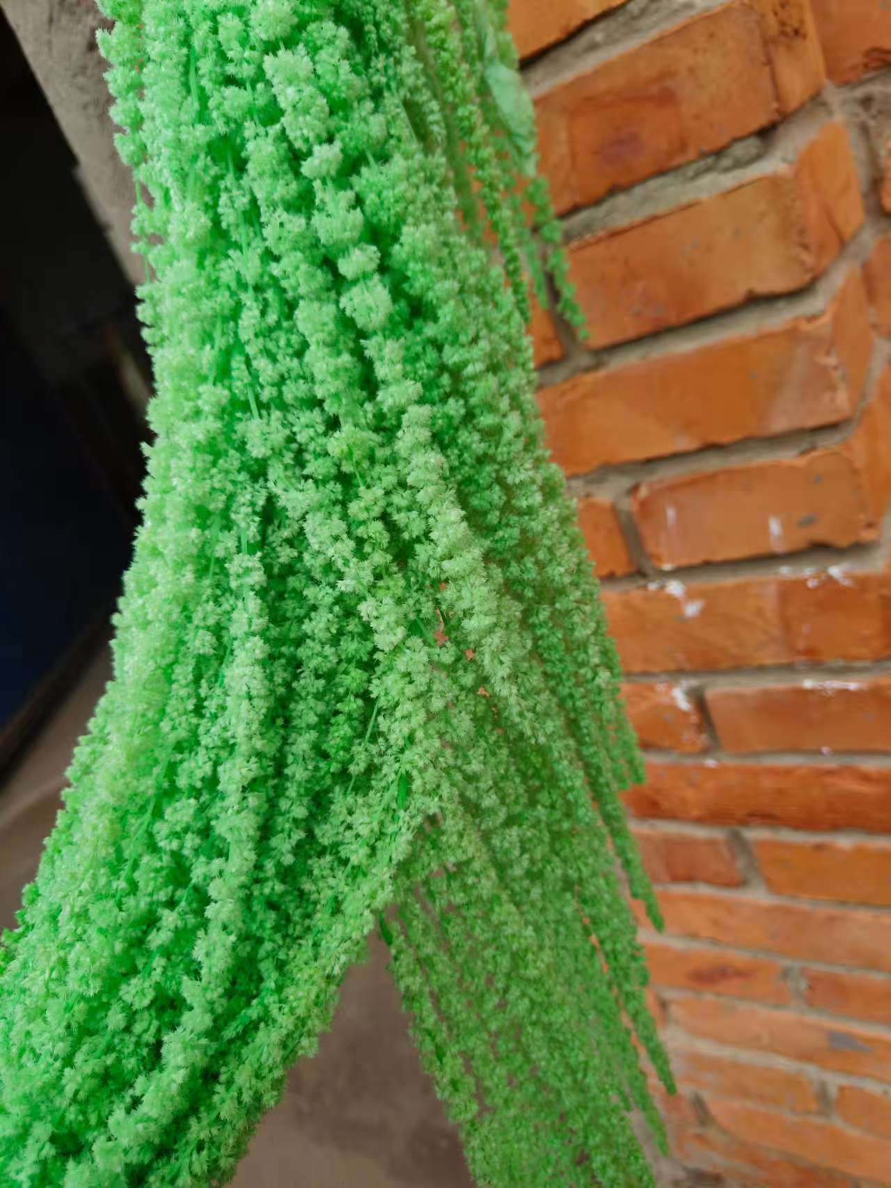 A dried flower eternal flower hanging rice