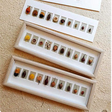 A wood glass hollow photo frame butterfly insect specimen frame DIY