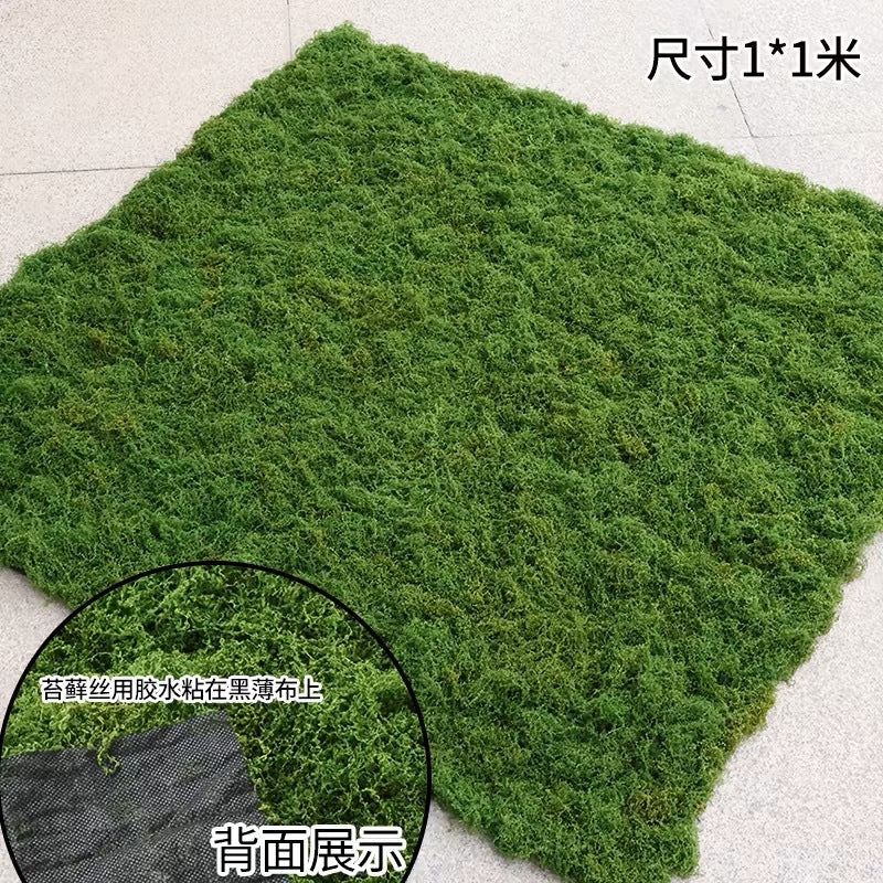 A simulated moss moss gardening plant wall DIY