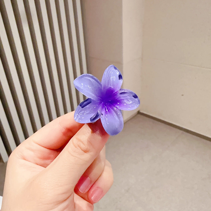 A egg flower hairpin gradual change Bauhinia back head grab clip temperament shark clip