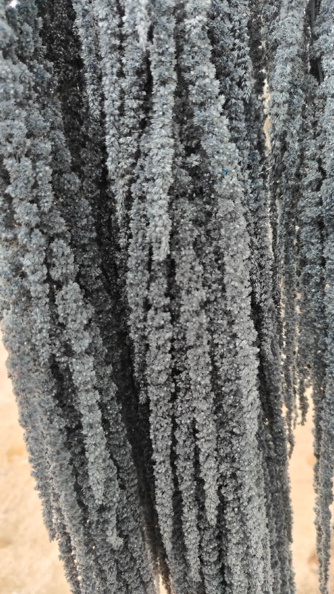 A dried flower eternal flower hanging rice