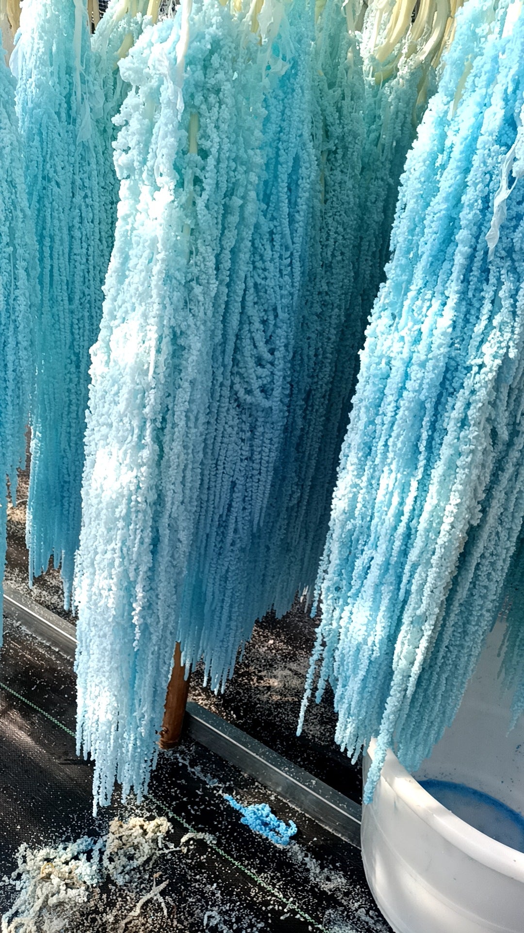 A dried flower eternal flower hanging rice