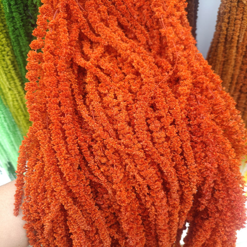 A dried flower eternal flower hanging rice
