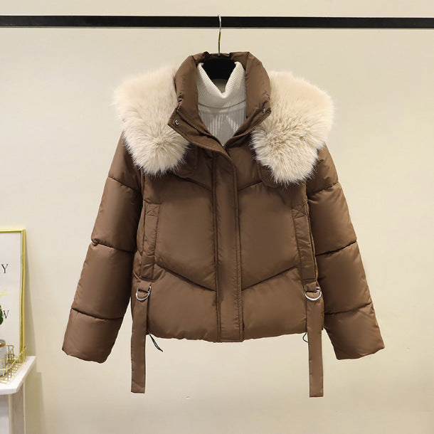 A Winter Warm Jacket