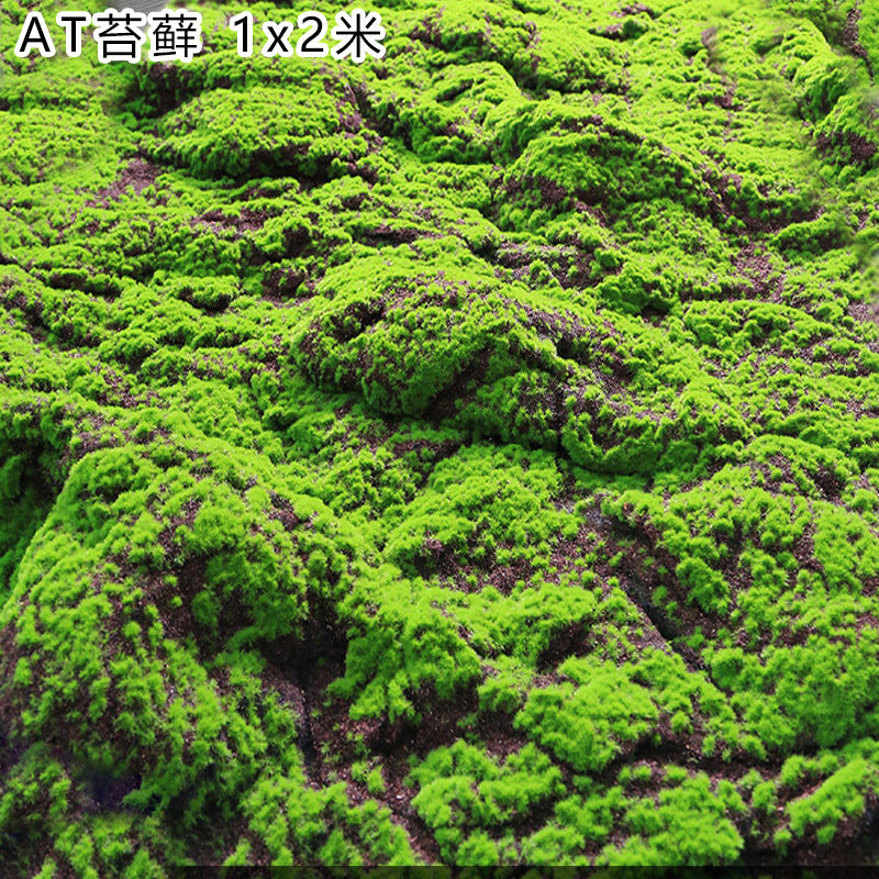 A Plant Wall Simulation Moss False Moss Moss Micro Landscape Bonsai Landscaping Decorative Materials Lawn Turf Wholesale
