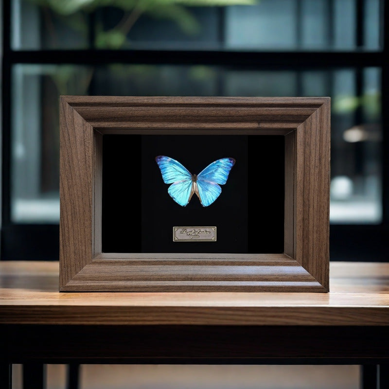 A Hollow three-dimensional glass photo frame, black high-end butterfly specimen frame, square large-size picture frame, wall-mounted display frame