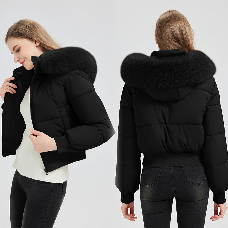 A lady's winter coat