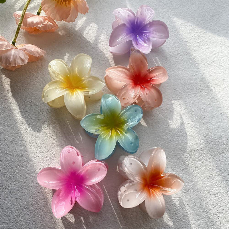 A egg flower hairpin gradual change Bauhinia back head grab clip temperament shark clip