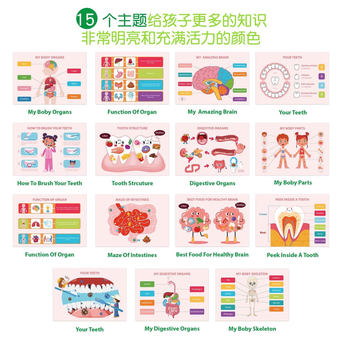 A busy book on body structure