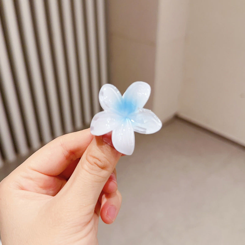 A egg flower hairpin gradual change Bauhinia back head grab clip temperament shark clip