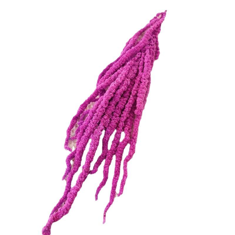 A dried flower eternal flower hanging rice