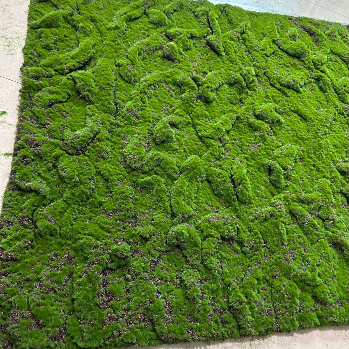 A Plant wall simulation moss green false moss moss micro landscape bonsai landscaping decorative material lawn turf