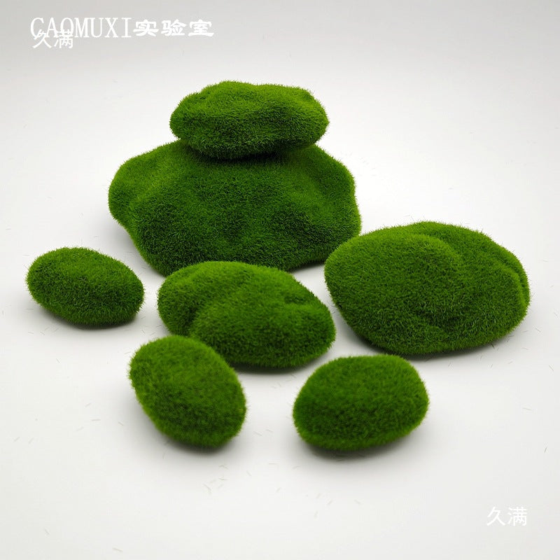 A plant stone model
