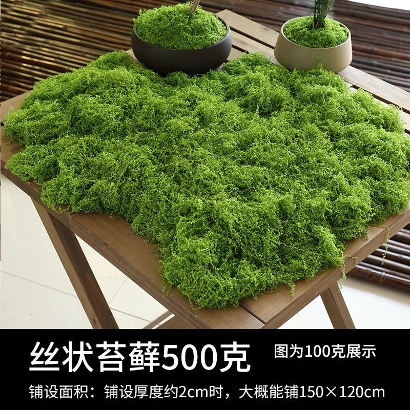 A simulated moss moss gardening plant wall DIY