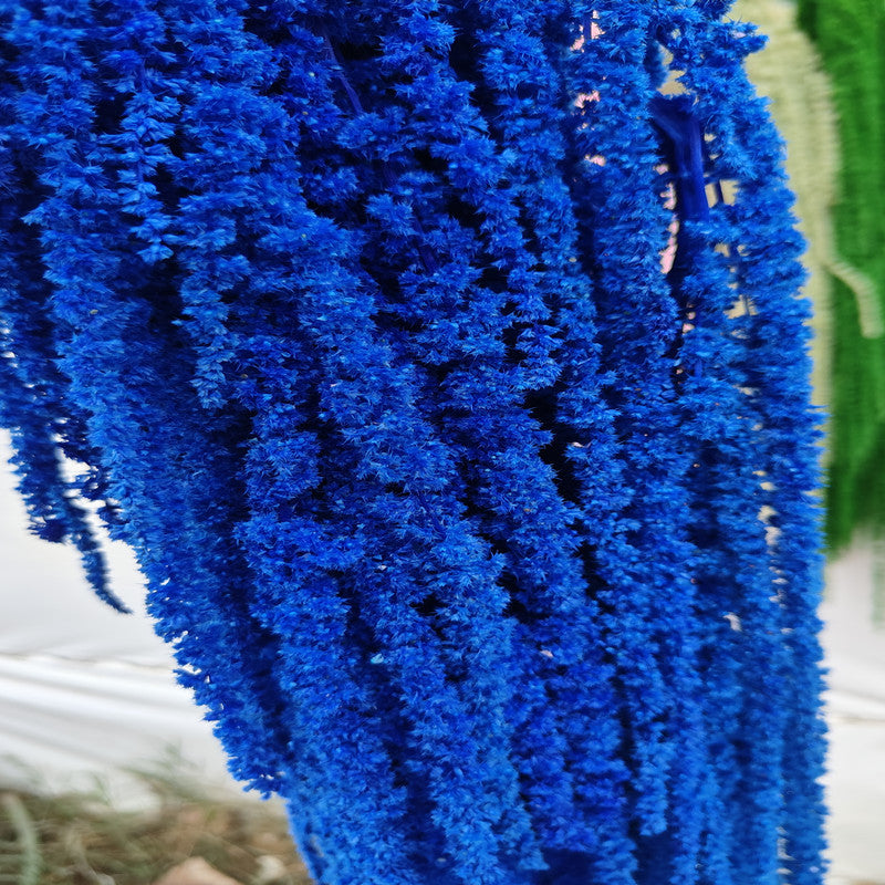 A dried flower eternal flower hanging rice