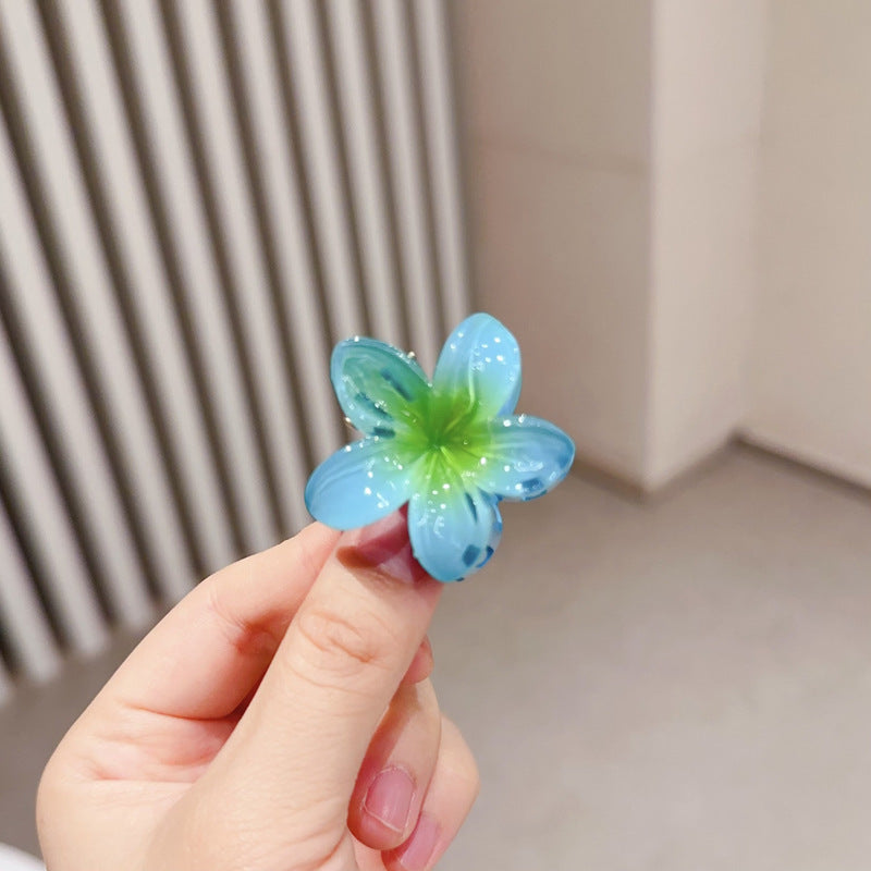 A egg flower hairpin gradual change Bauhinia back head grab clip temperament shark clip