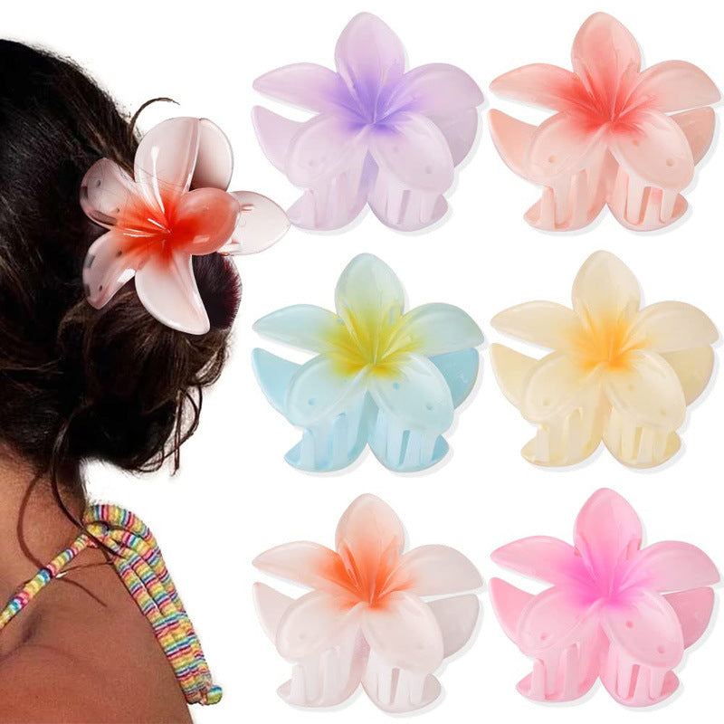 A egg flower hairpin gradual change Bauhinia back head grab clip temperament shark clip