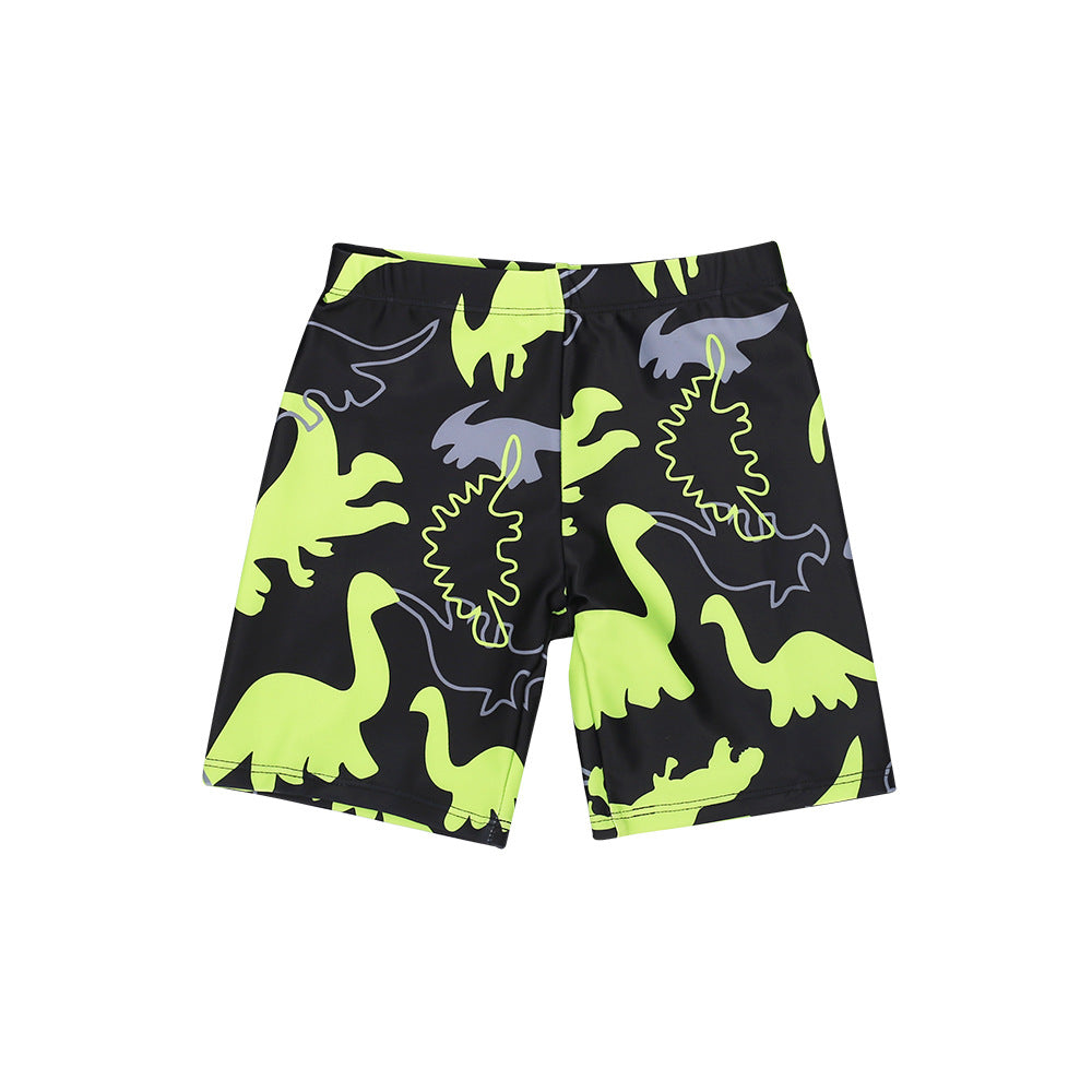 A boy's swimsuit suit cartoon dinosaur