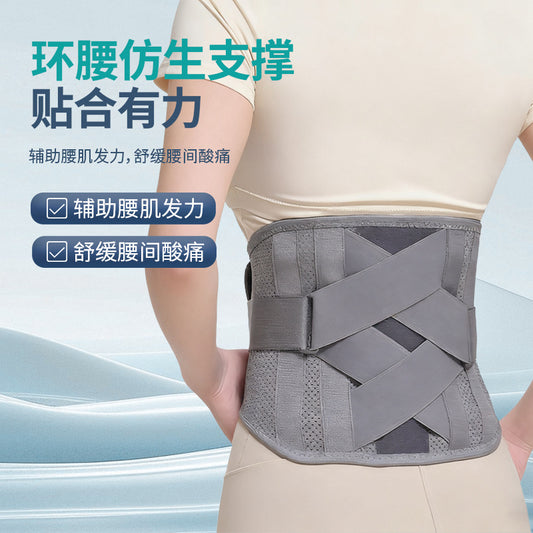A waist support waist support