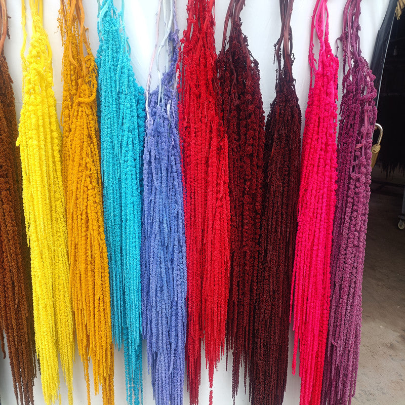 A dried flower eternal flower hanging rice