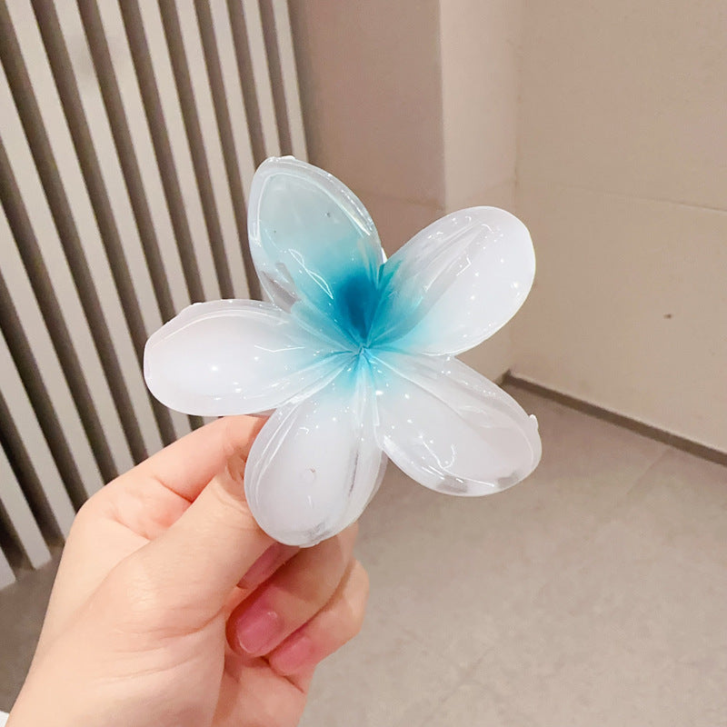 A egg flower hairpin gradual change Bauhinia back head grab clip temperament shark clip