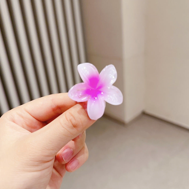 A egg flower hairpin gradual change Bauhinia back head grab clip temperament shark clip