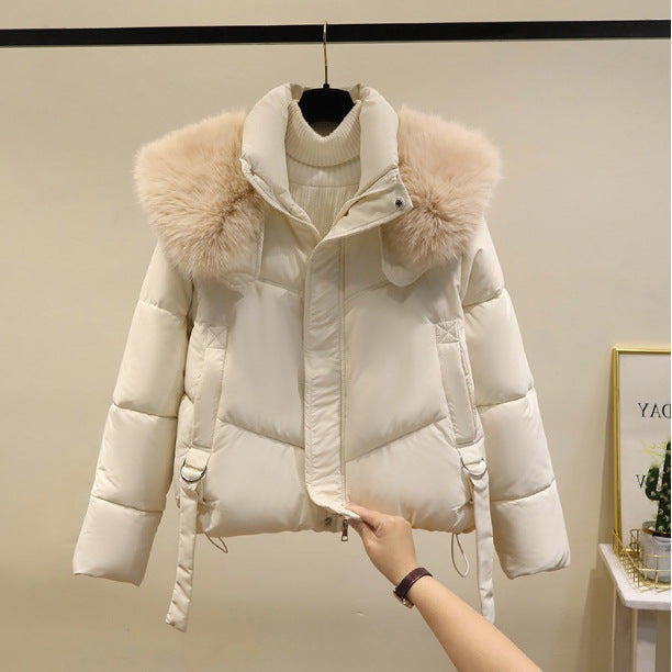 A Winter Warm Jacket