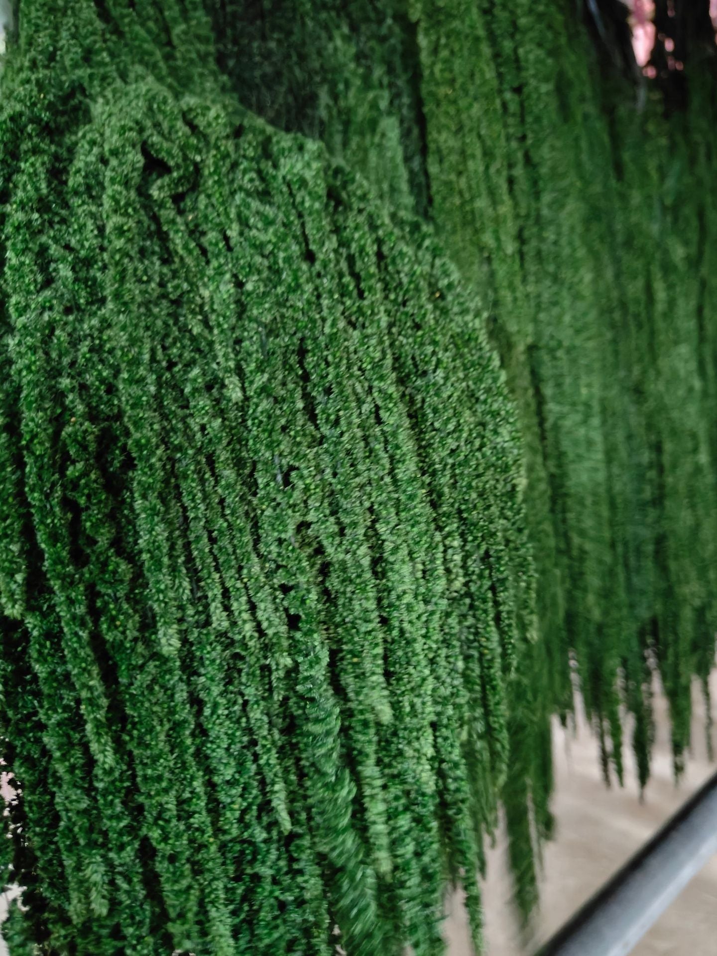 A dried flower eternal flower hanging rice