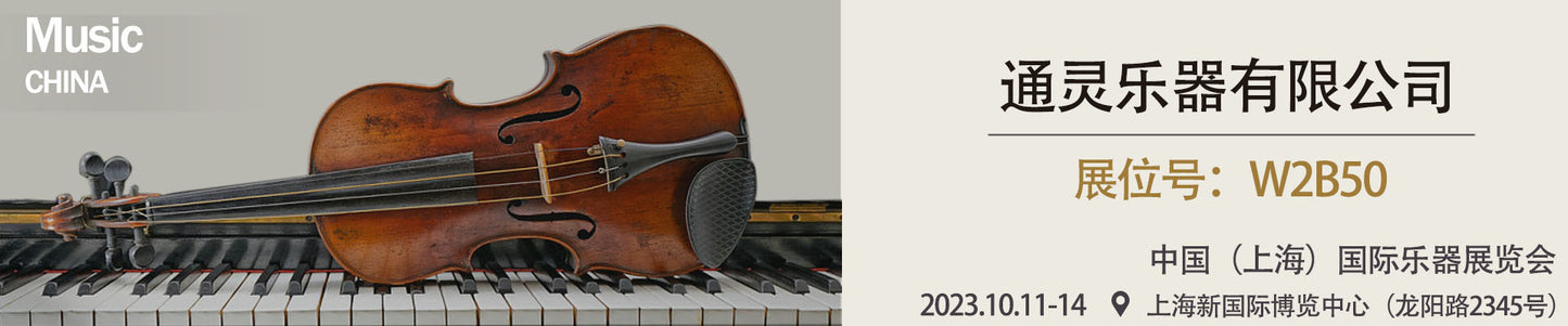 A violin