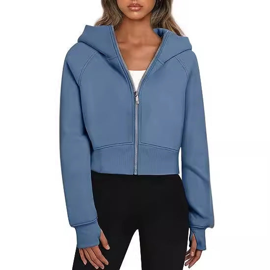 A hooded zip sweater