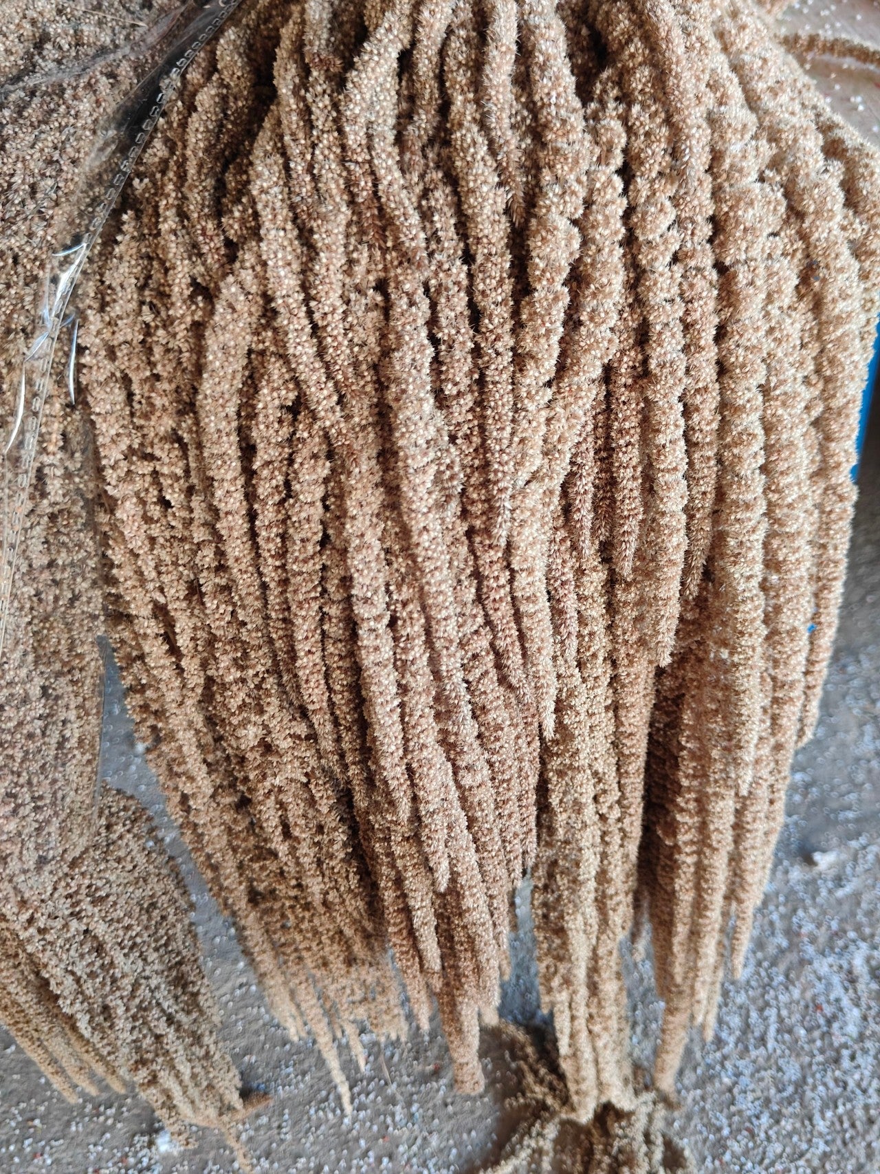 A dried flower eternal flower hanging rice