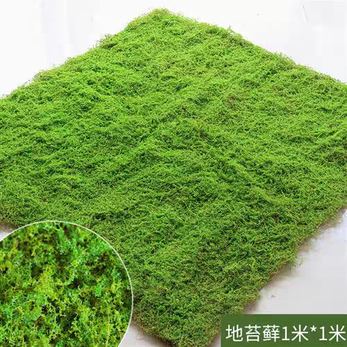 A simulated moss moss gardening plant wall DIY