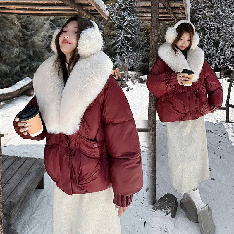 A Winter Warm Jacket