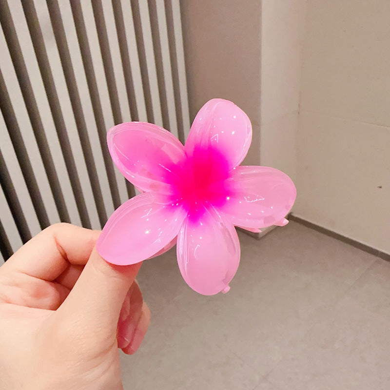 A egg flower hairpin gradual change Bauhinia back head grab clip temperament shark clip