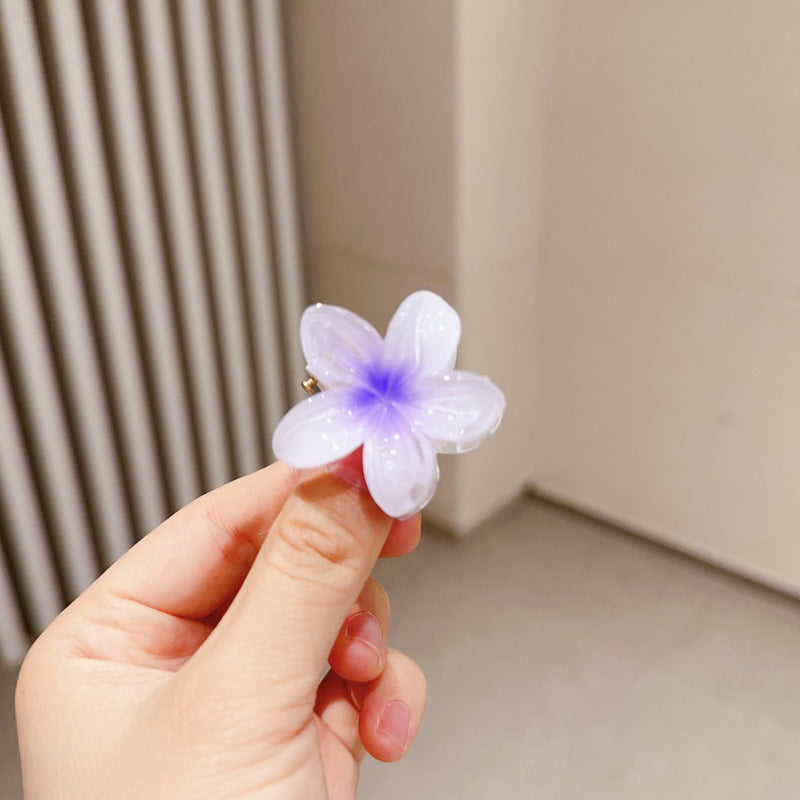 A egg flower hairpin gradual change Bauhinia back head grab clip temperament shark clip