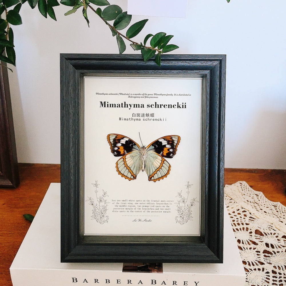 A Hollow three-dimensional glass photo frame, black high-end butterfly specimen frame, square large-size picture frame, wall-mounted display frame