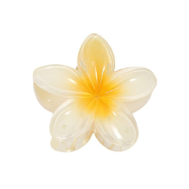 A egg flower hairpin gradual change Bauhinia back head grab clip temperament shark clip