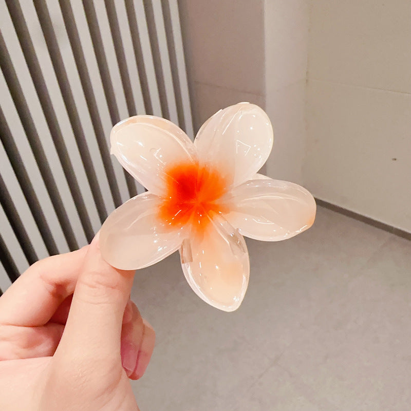 A egg flower hairpin gradual change Bauhinia back head grab clip temperament shark clip