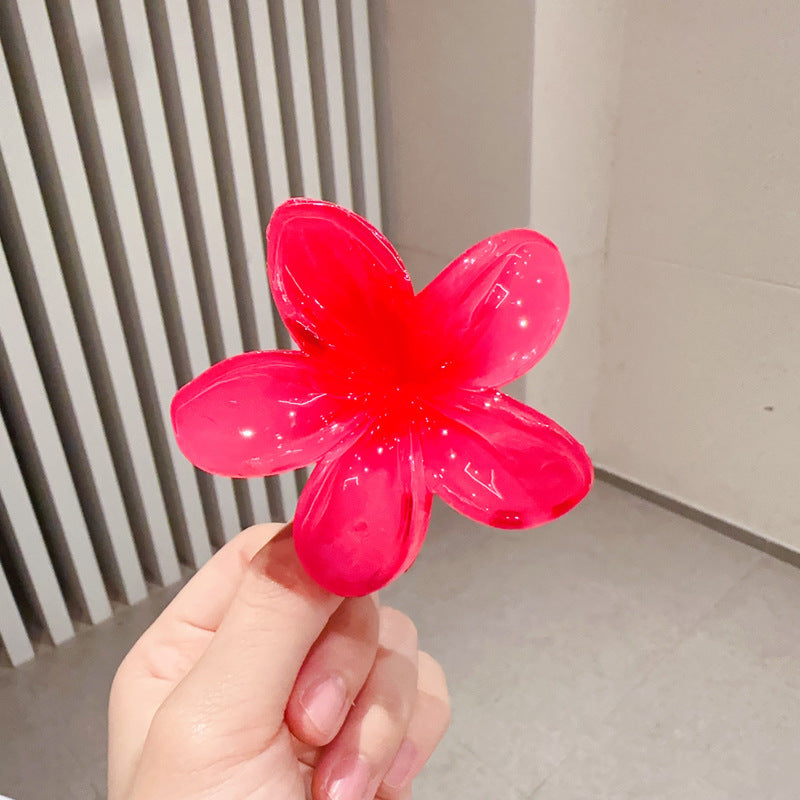 A egg flower hairpin gradual change Bauhinia back head grab clip temperament shark clip
